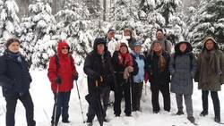 Wandern im Schnee auf dem Feldberg
Im Aboretum Wandern im Schnee auf dem Feldberg
Im Aboretum