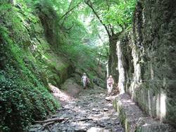 Wandern durch die Ruppertsklamm
Rast nach der Mühe Wandern durch die Ruppertsklamm
Rast nach der Mühe