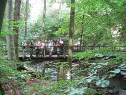 Wandergruppe in der Holzbachschlucht Wandergruppe in der Holzbachschlucht