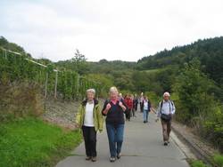 In den Weinbergen bei Veldenz
Erklimmen des Barbeleyfelsens In den Weinbergen bei Veldenz
Erklimmen des Barbeleyfelsens