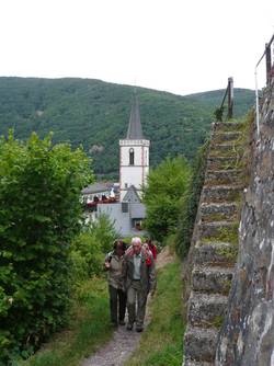 Der Steig in Assmannshausen
Aussichtspunkt auf dem Höllenberg
Eine Riesendistel am Wegesrand Der Steig in Assmannshausen
Aussichtspunkt auf dem Höllenberg
Eine Riesendistel am Wegesrand
