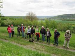 Wandergruppe im Ahrtal oberhalb Bad Bodendorf Wandergruppe im Ahrtal oberhalb Bad Bodendorf
