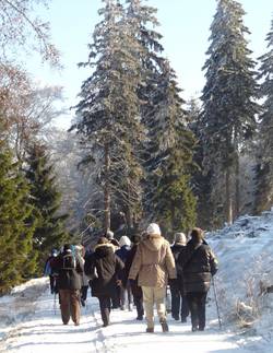 Taunusklub Königstein auf dem verschneiden Limes-Erlebnis-Pfad Taunusklub Königstein auf dem verschneiden Limes-Erlebnis-Pfad