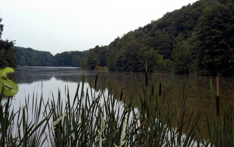 10 besonders schöne Weiher und Teiche Wandern im Taunus